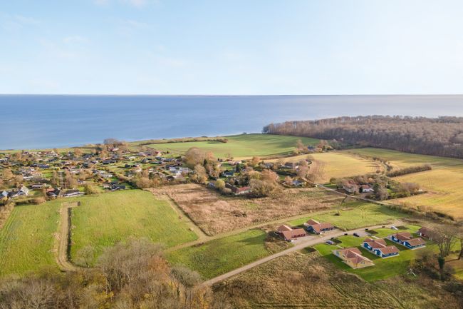 Havmose 5 og 7, Kettingskov